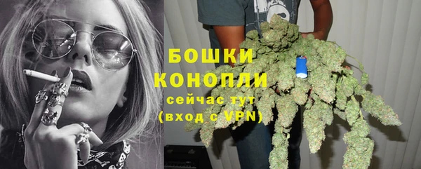 прущие крисы Беломорск