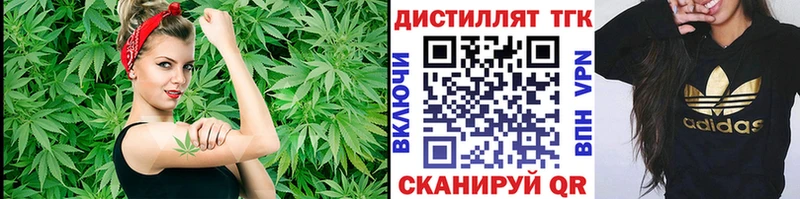 Купить  Светогорск  Дистиллят ТГК Wax 