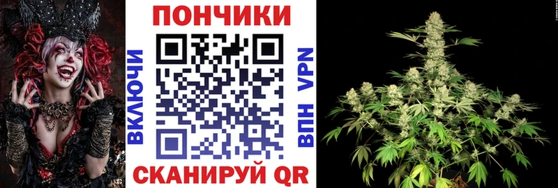 Купить где  Светогорск  Конопля AK-47 